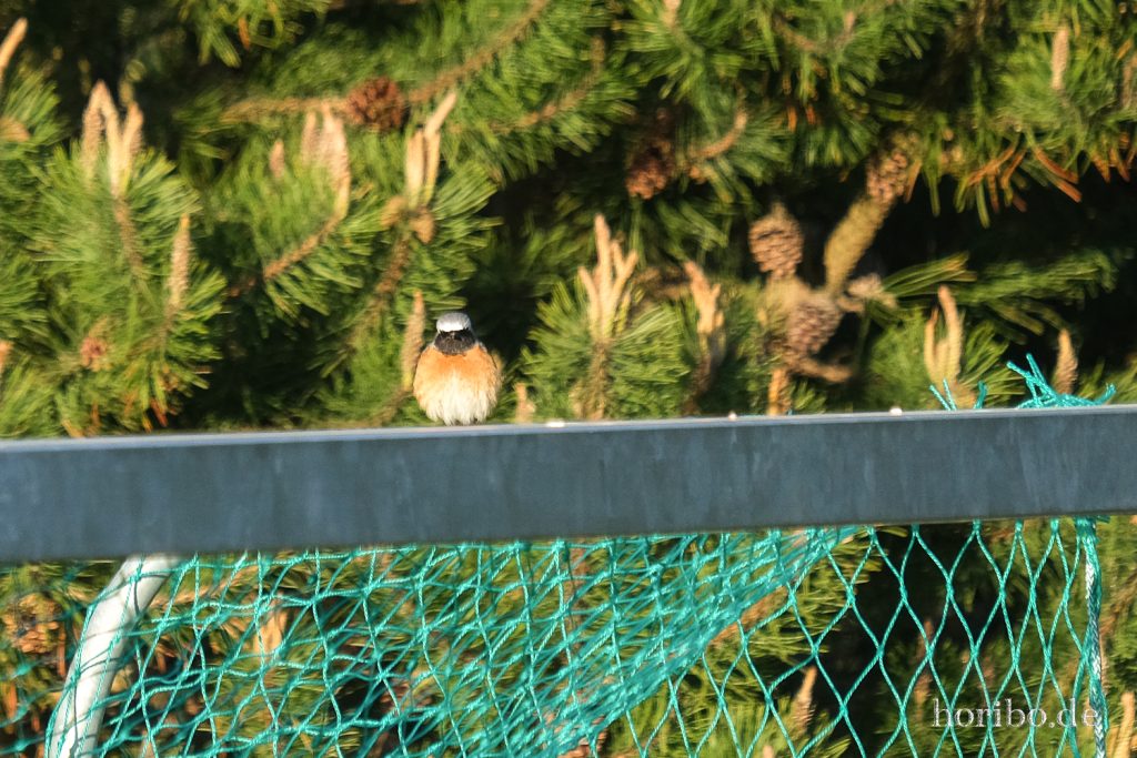 HR-22-04-25-19-34-48-3670