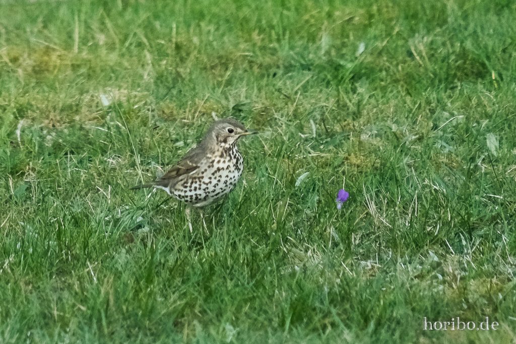 HR-22-04-25-19-35-23-3677