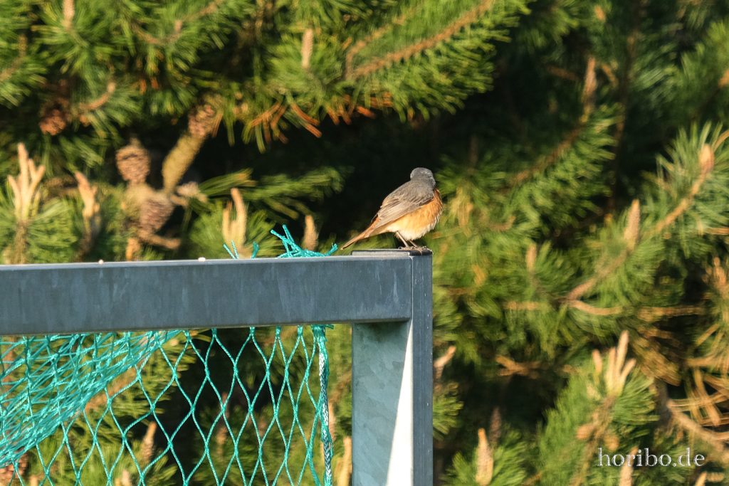 HR-22-04-25-19-35-36-3679