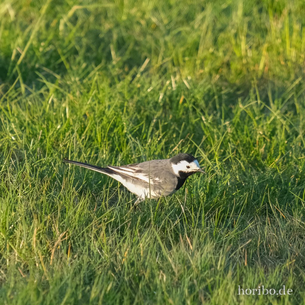 HR-22-04-25-19-55-54-3725