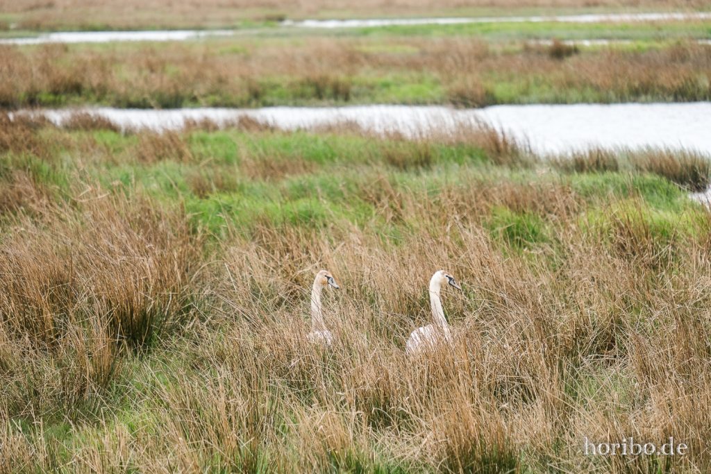 HR-22-04-26-15-04-11-3742