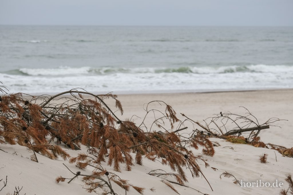 HR-22-04-26-17-17-28-3757