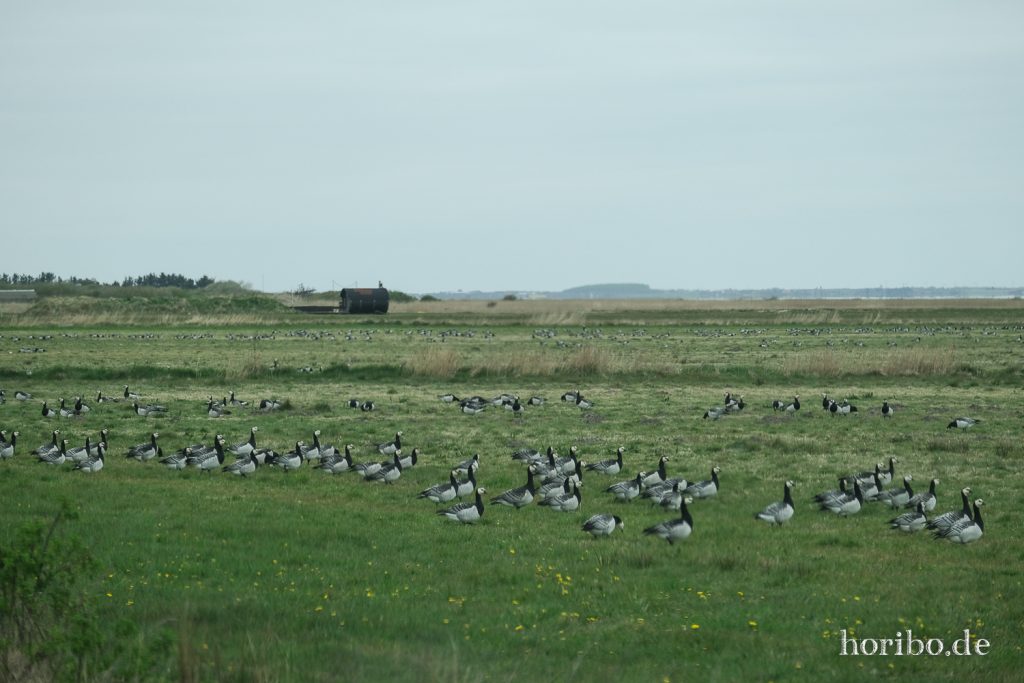 HR-22-04-26-18-07-24-3803