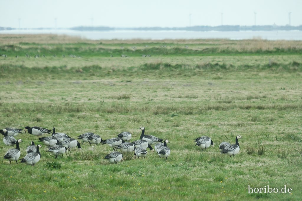 HR-22-04-26-18-07-30-3806