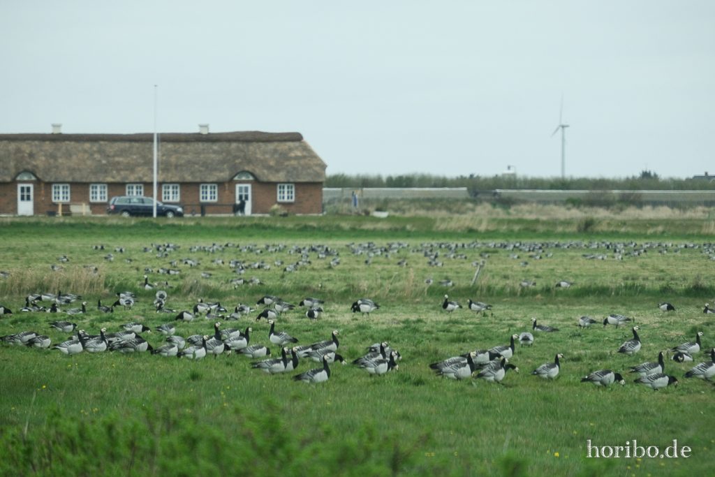 HR-22-04-26-18-07-35-3807