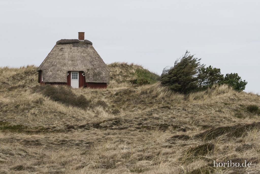 HR-22-04-26-18-40-24-3815