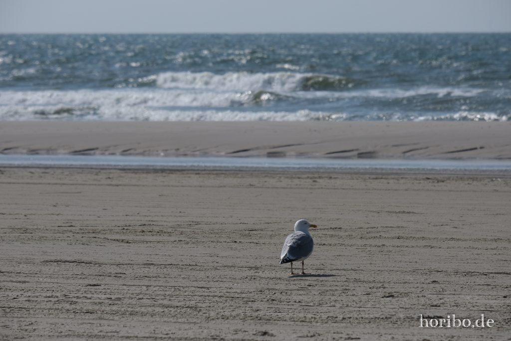 HR-22-04-27-15-38-43-3834