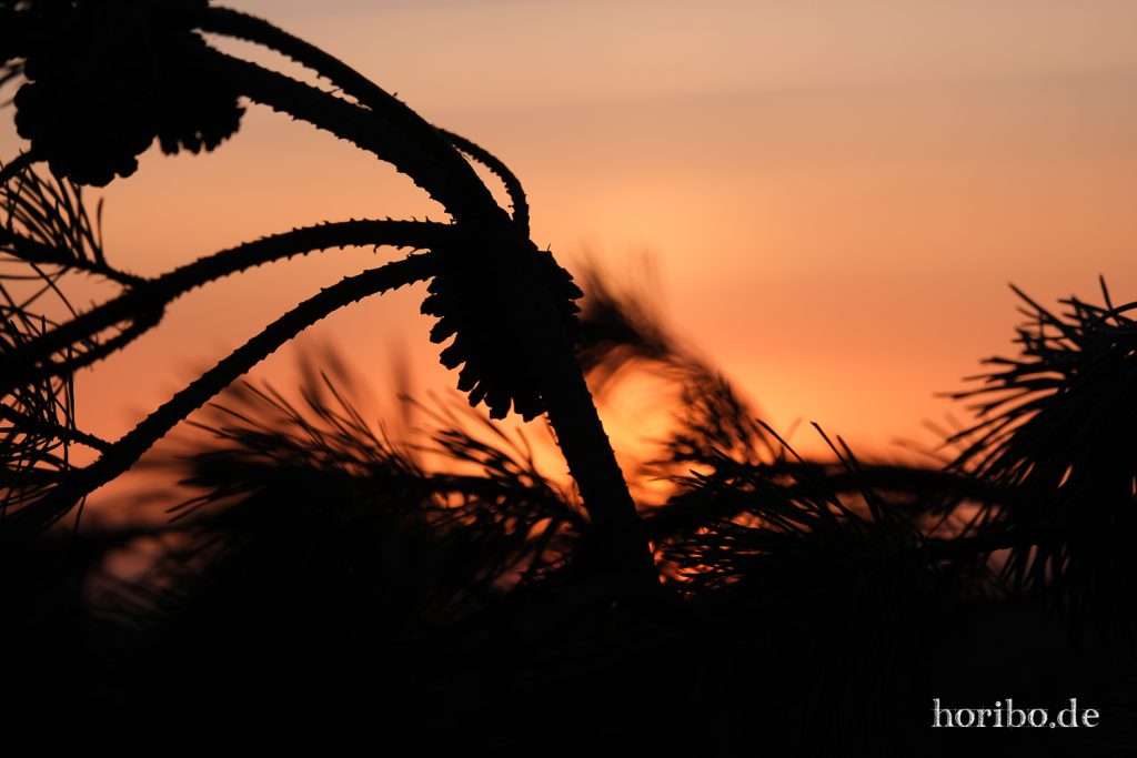 HR-22-04-27-20-59-58-3944