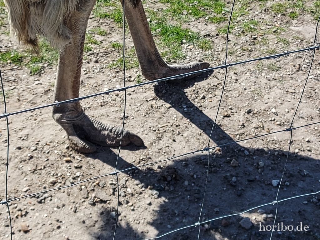 HR-22-04-28-15-04-43-150443