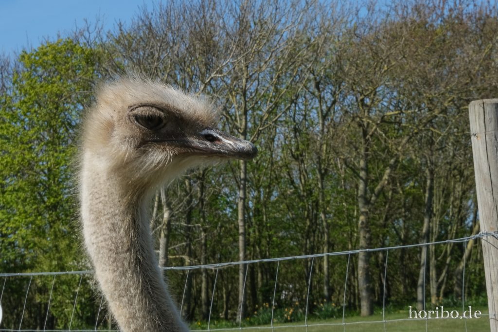 HR-22-04-28-15-09-56-4035