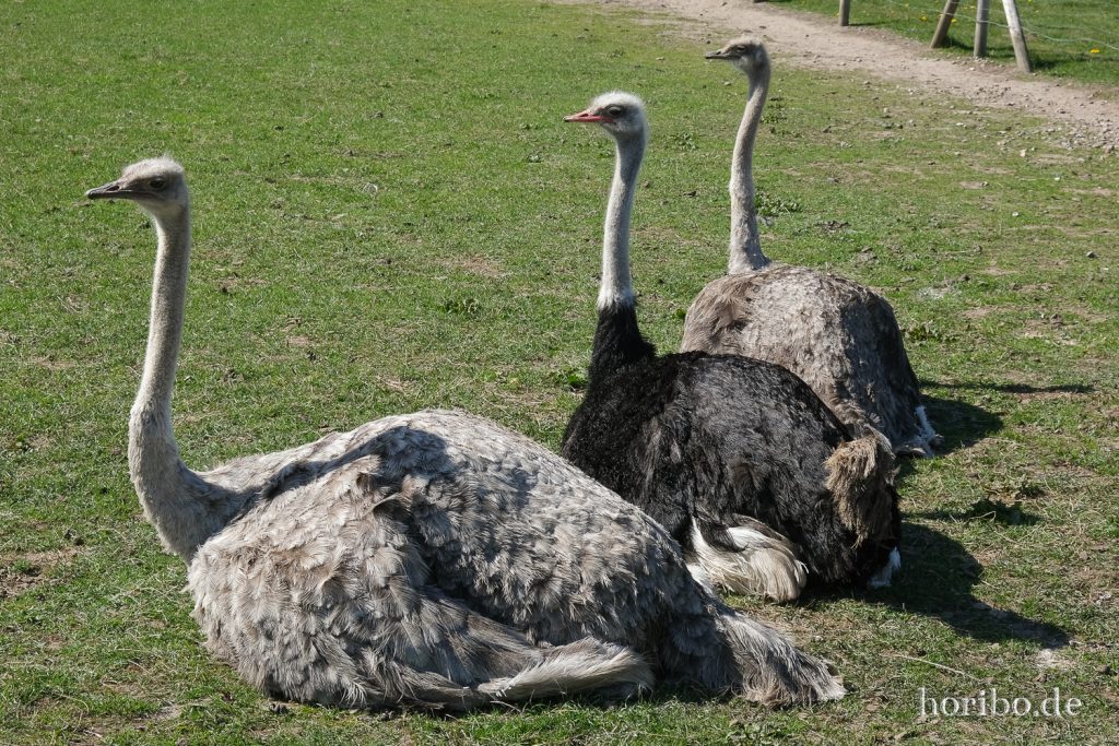 HR-22-04-28-15-13-05-4055