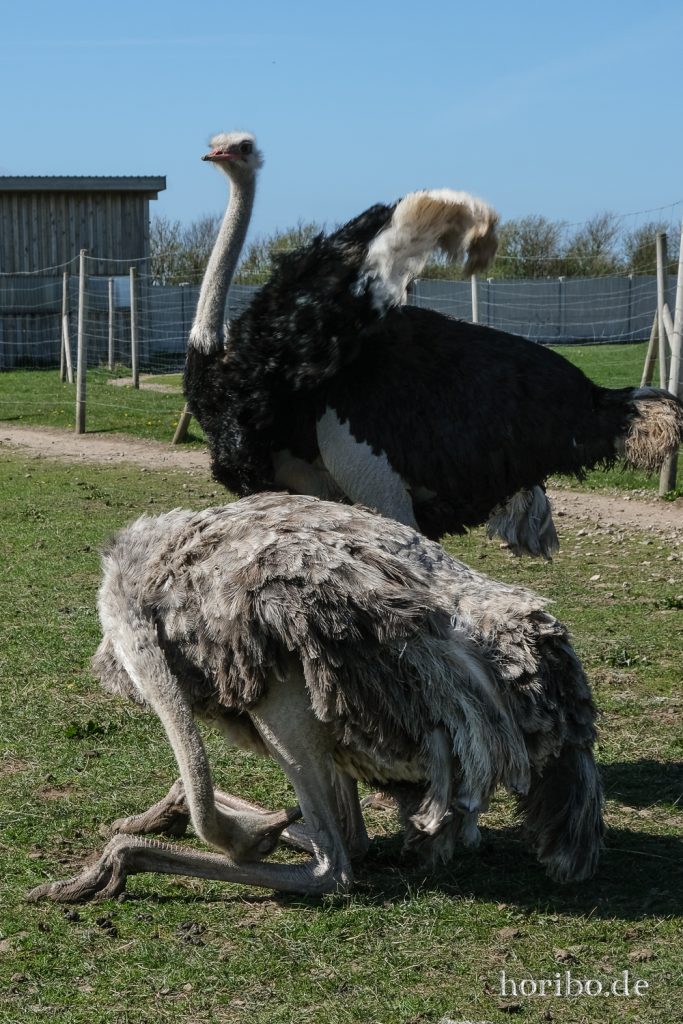 HR-22-04-28-15-14-25-4061