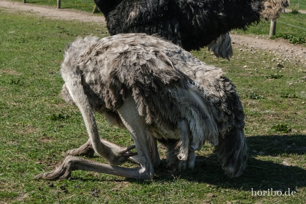 HR-22-04-28-15-14-26-4062