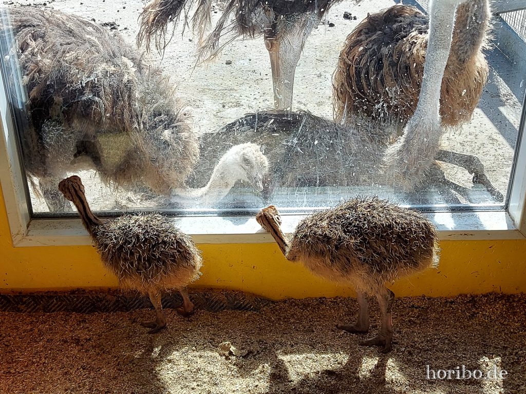 HR-22-04-28-15-19-04-151904