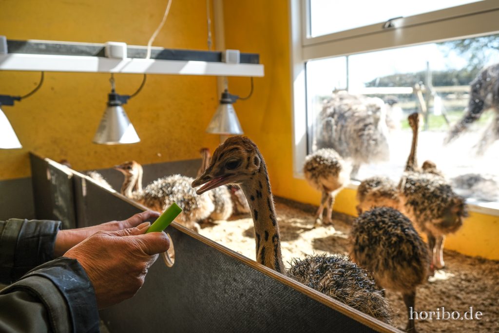 HR-22-04-28-15-22-35-4075