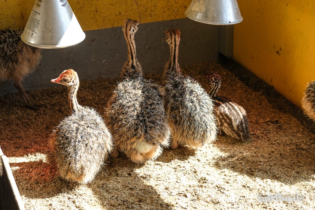 HR-22-04-28-15-22-56-4078