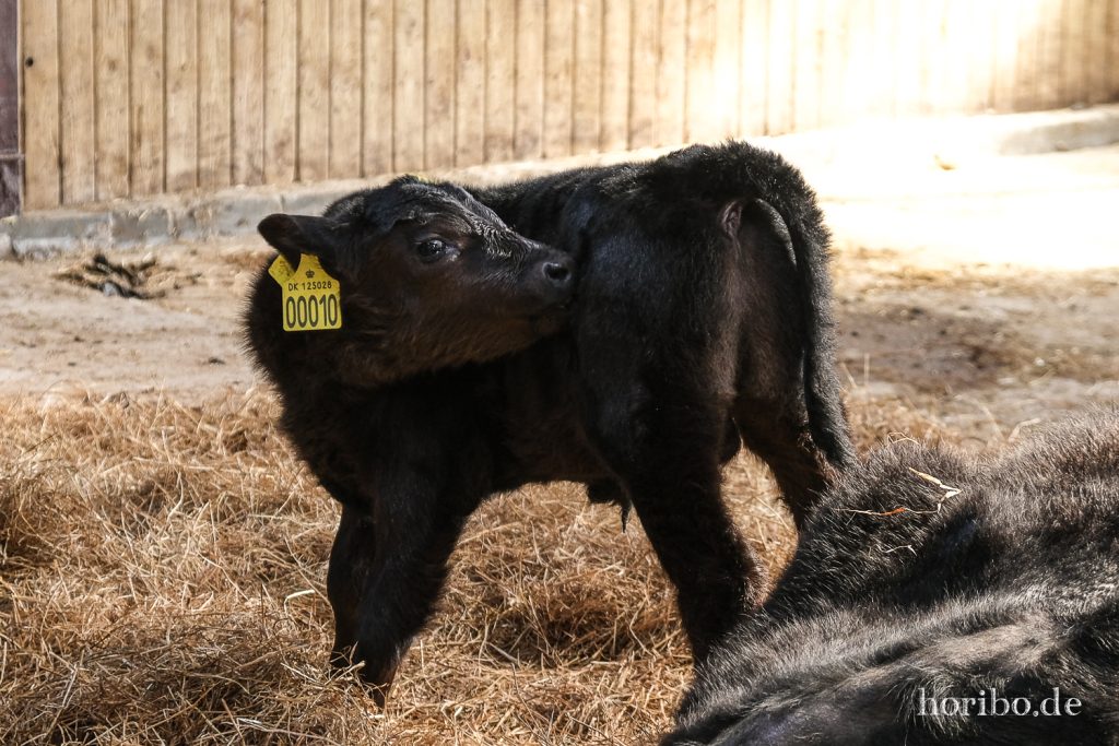 HR-22-04-28-15-29-54-4091