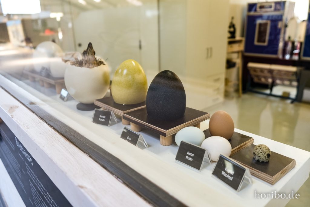 HR-22-04-28-15-31-02-4092