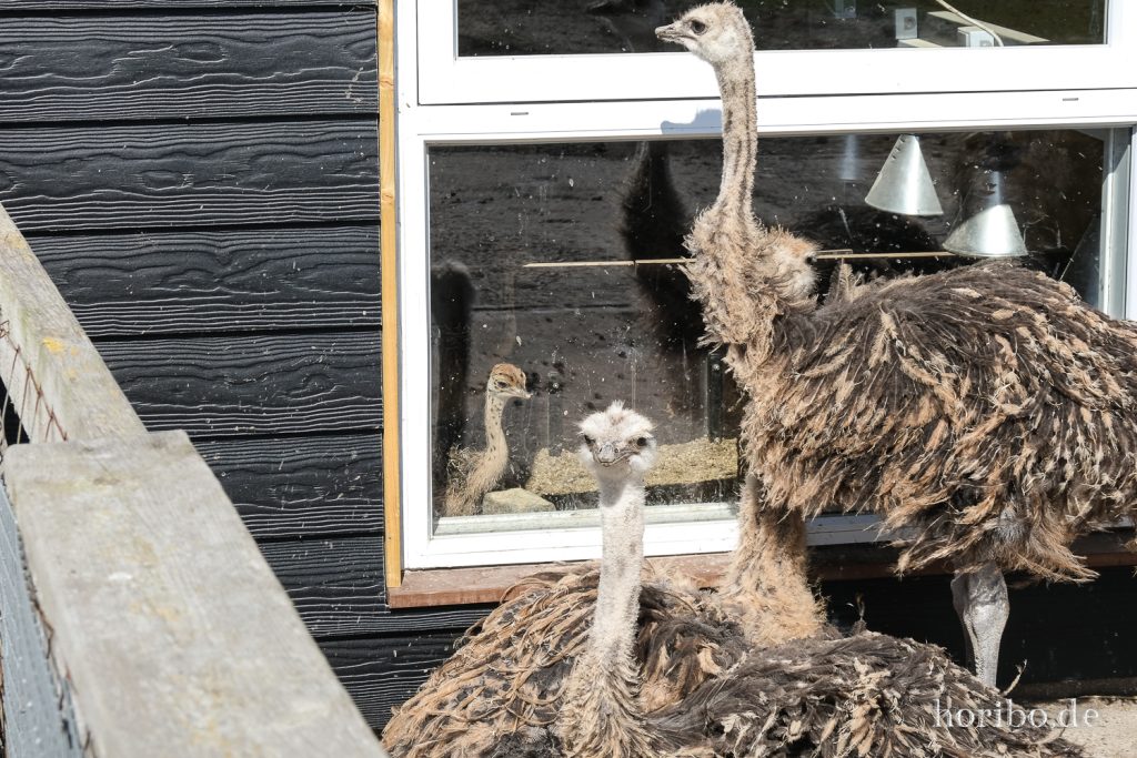 HR-22-04-28-15-32-48-4099