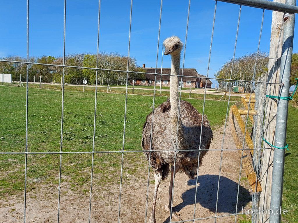 HR-22-04-28-15-37-01-153701