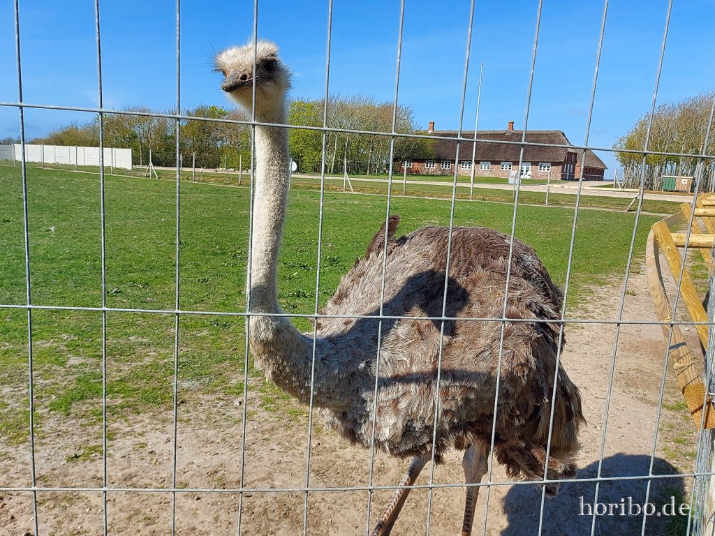 HR-22-04-28-15-37-03-153703