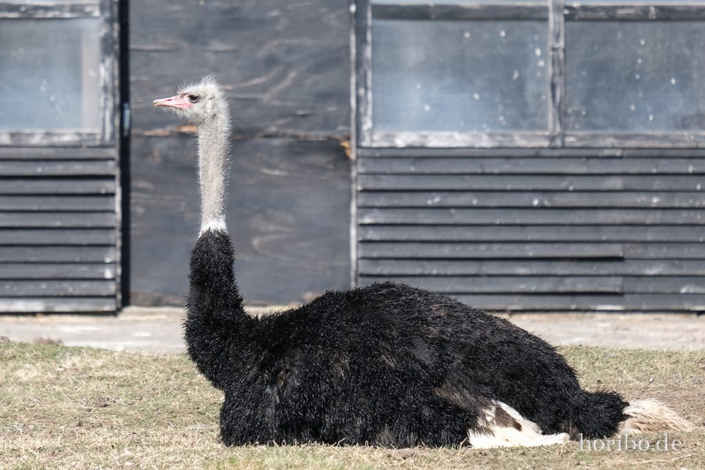 HR-22-04-28-15-40-19-4115