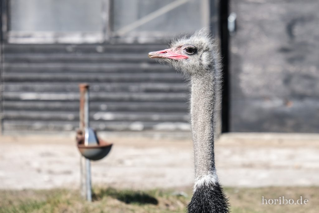 HR-22-04-28-15-41-10-4118