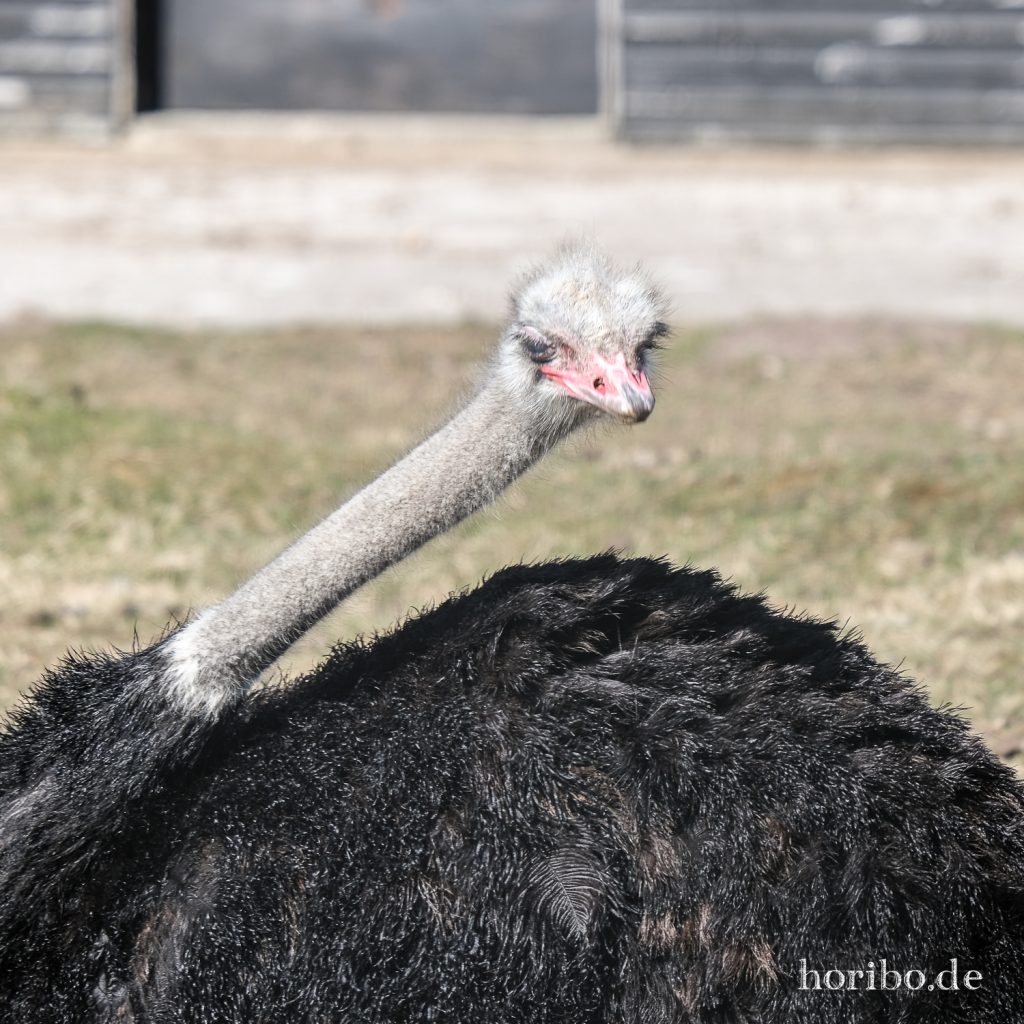 HR-22-04-28-15-41-26-4121