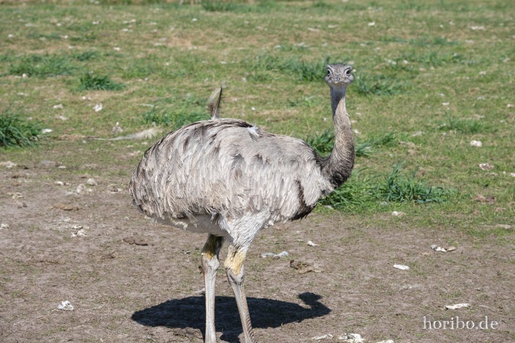 HR-22-04-28-15-43-49-4131