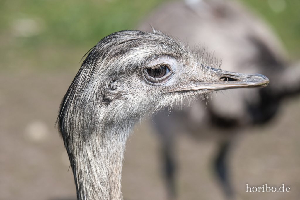 HR-22-04-28-15-44-05-4137