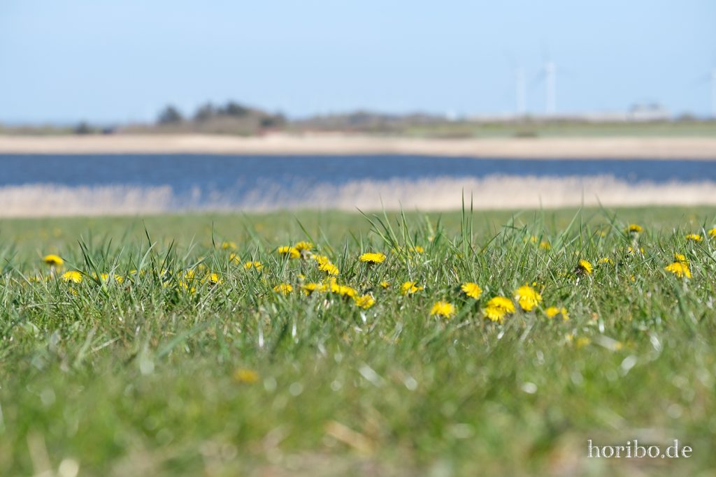 HR-22-04-28-15-49-02-4145