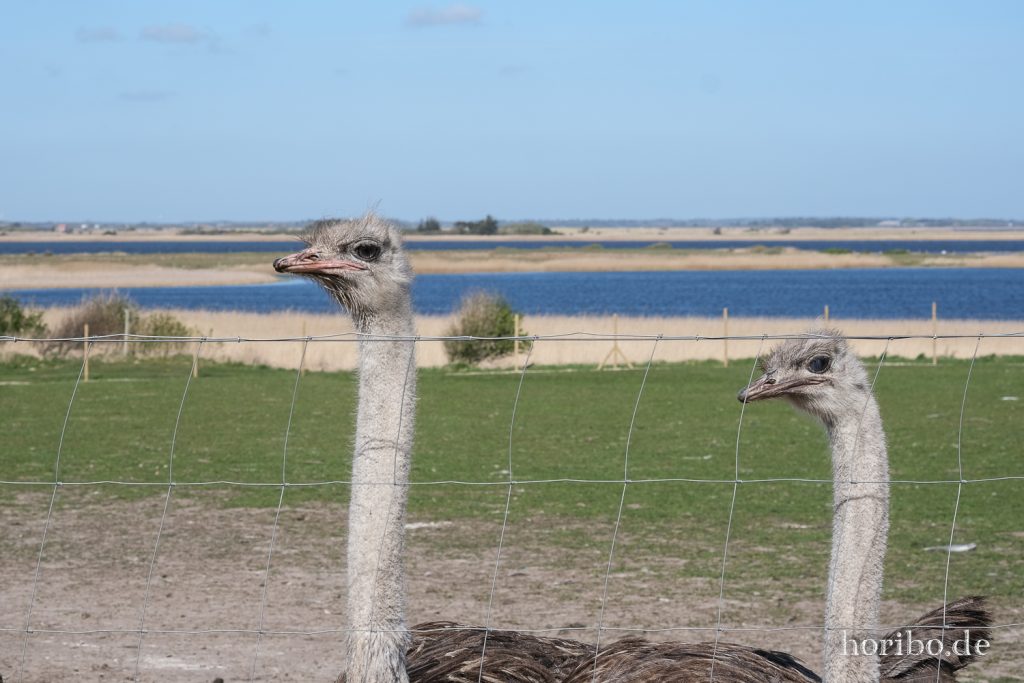 HR-22-04-28-15-52-30-4148