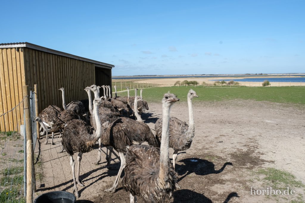 HR-22-04-28-15-55-44-4159