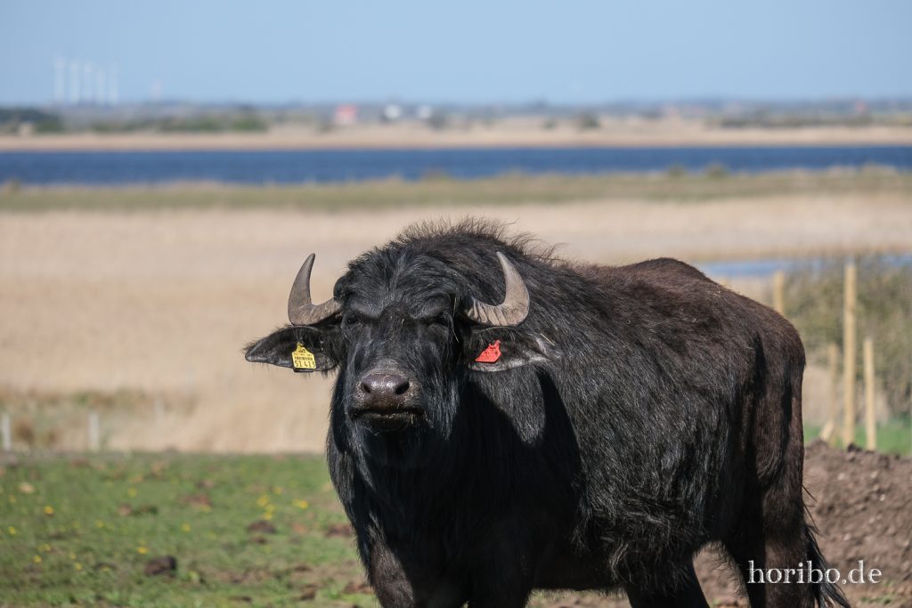 HR-22-04-28-15-57-55-4175