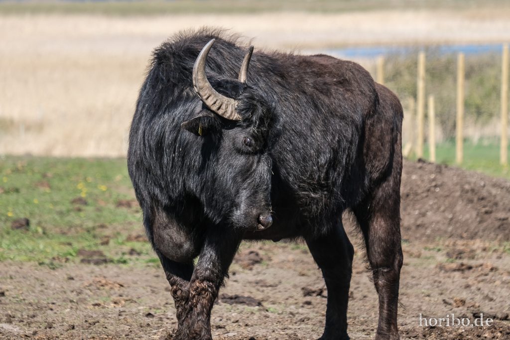 HR-22-04-28-15-58-03-4177