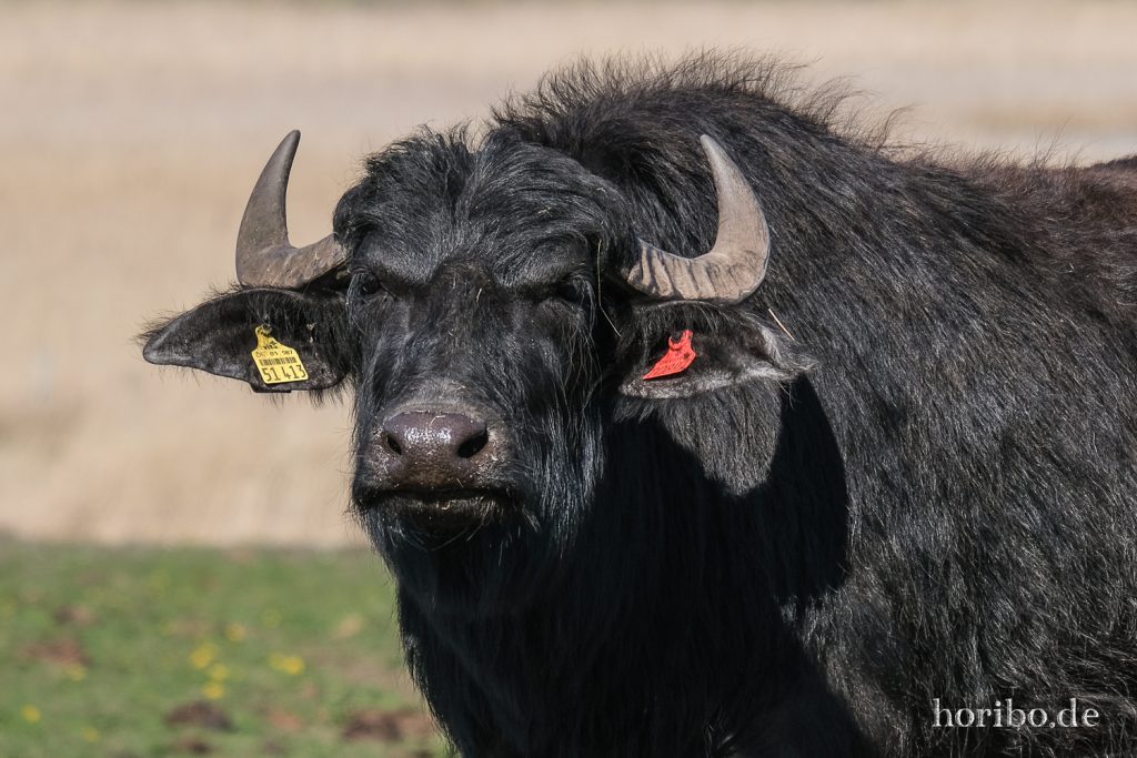 HR-22-04-28-15-58-25-4183