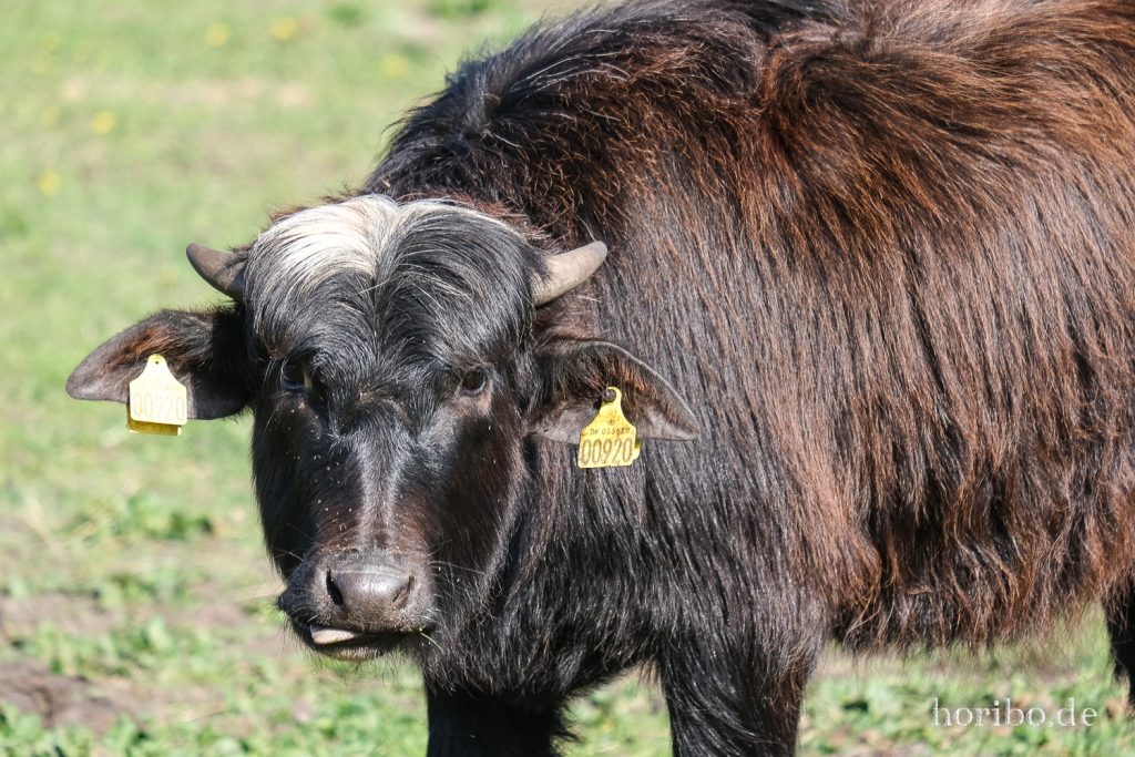 HR-22-04-28-16-02-47-4205