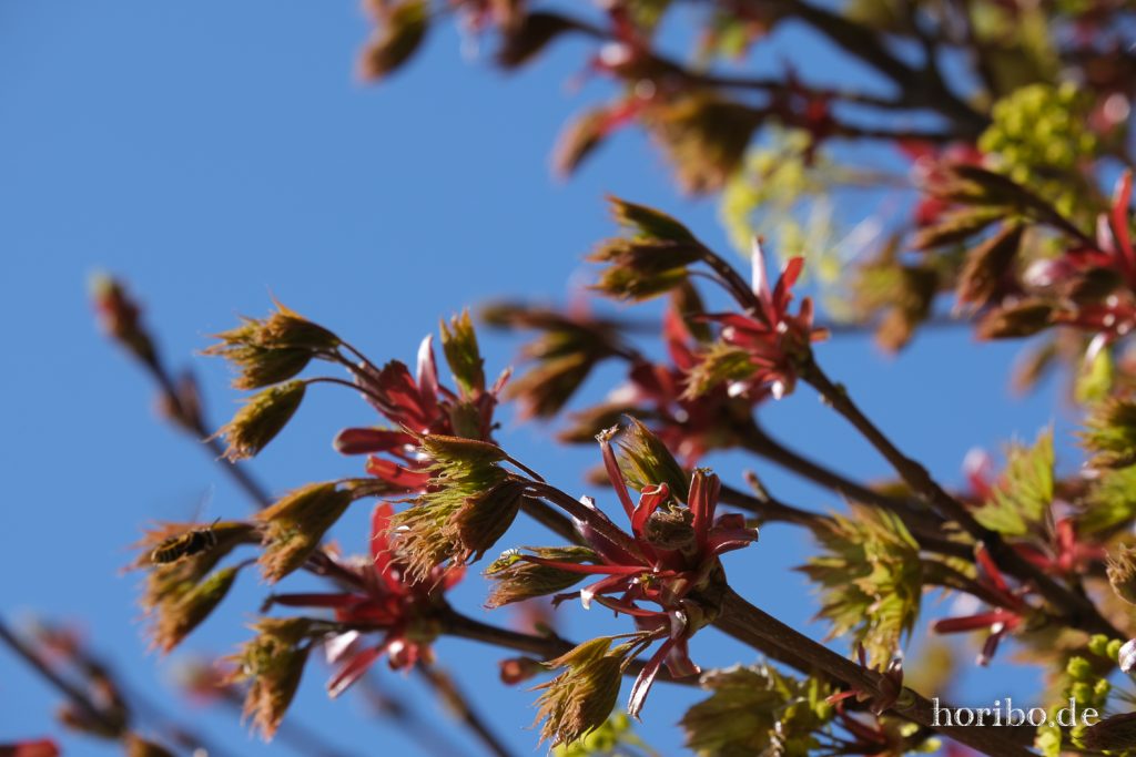 HR-22-04-28-16-11-45-4211