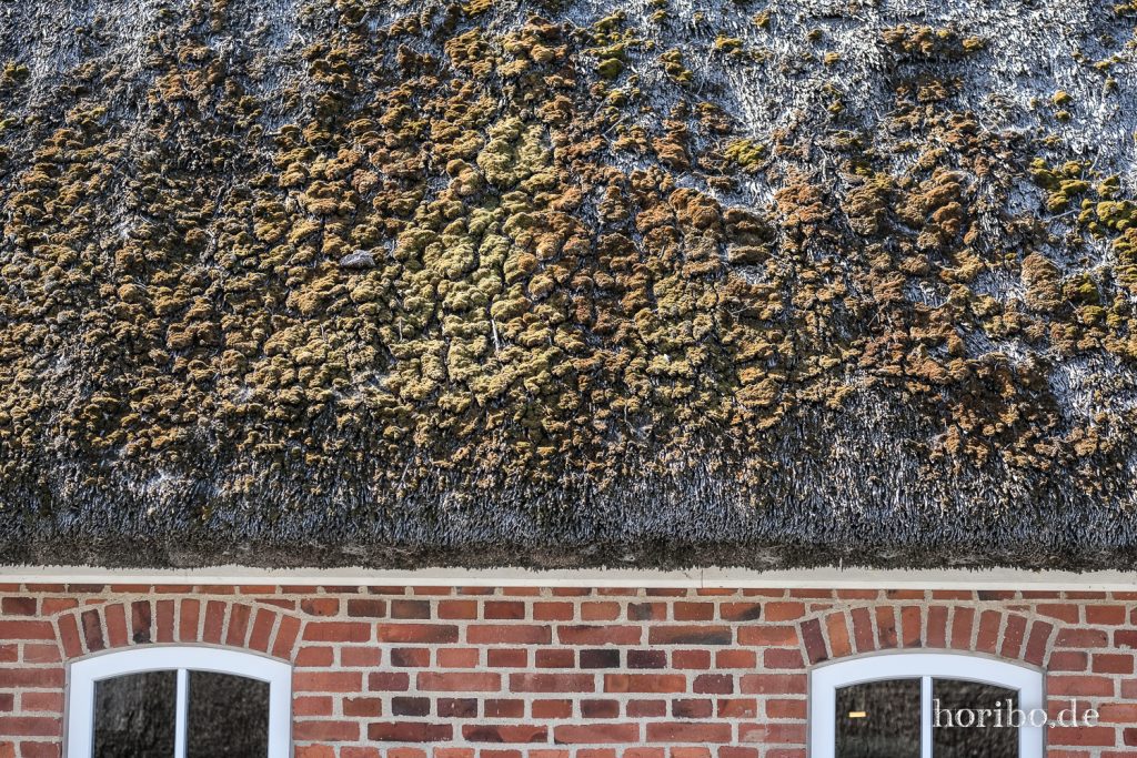 HR-22-04-28-16-12-35-4213