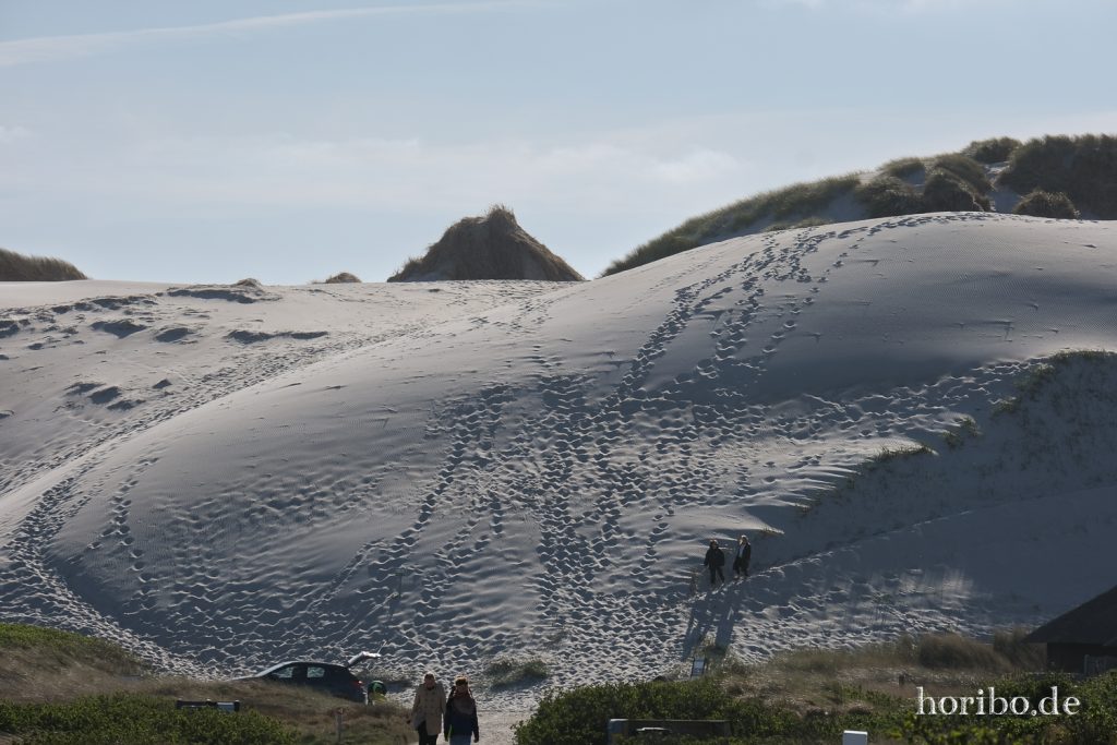 HR-22-04-28-17-43-35-4291