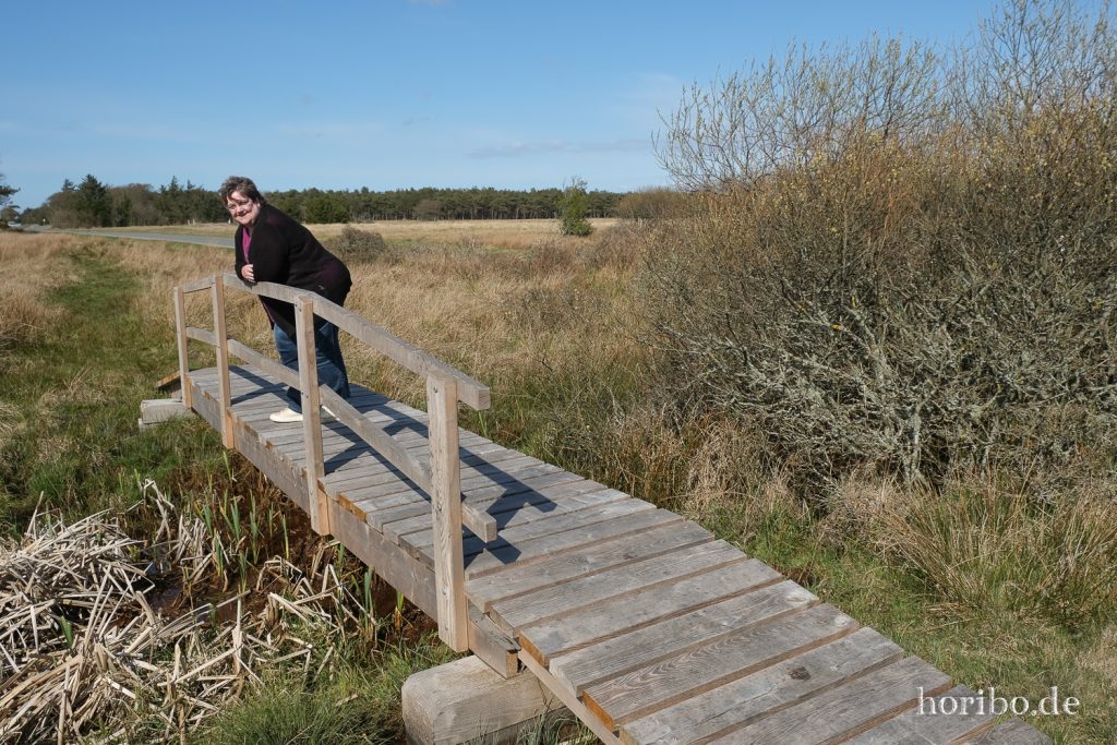 HR-22-04-29-16-21-59-4305