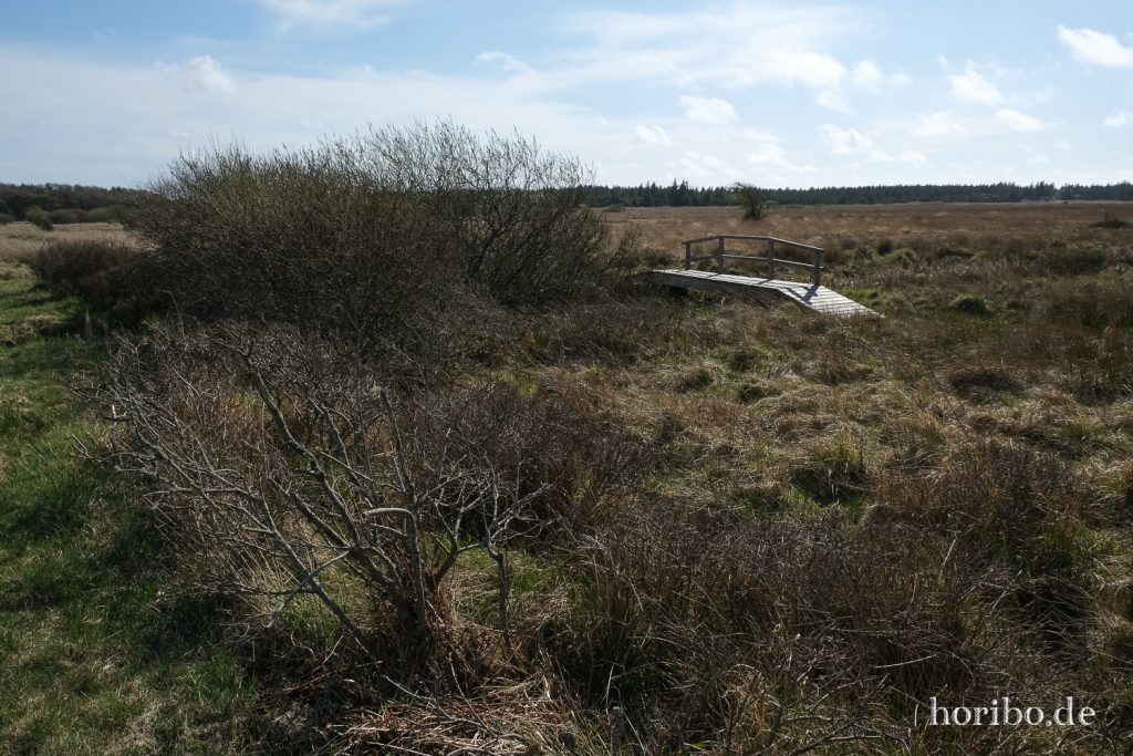 HR-22-04-29-16-25-00-4309