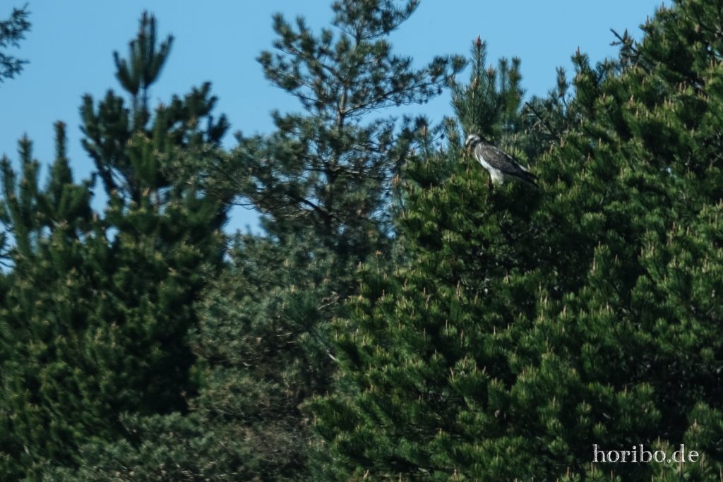 HR-22-04-29-16-34-09-4318