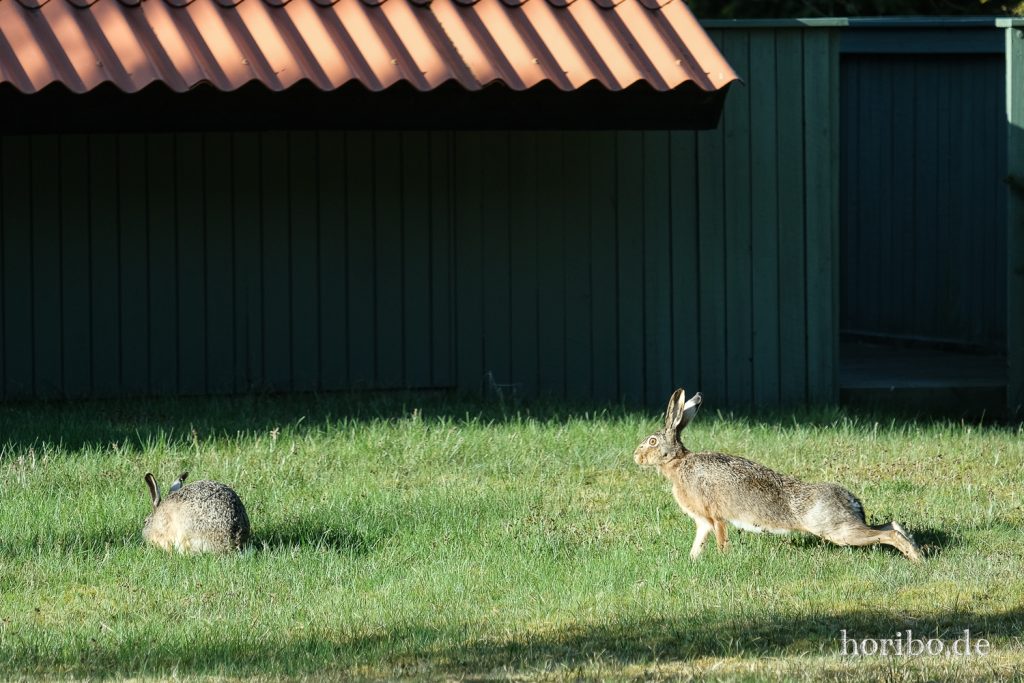 HR-22-04-29-18-37-01-4333