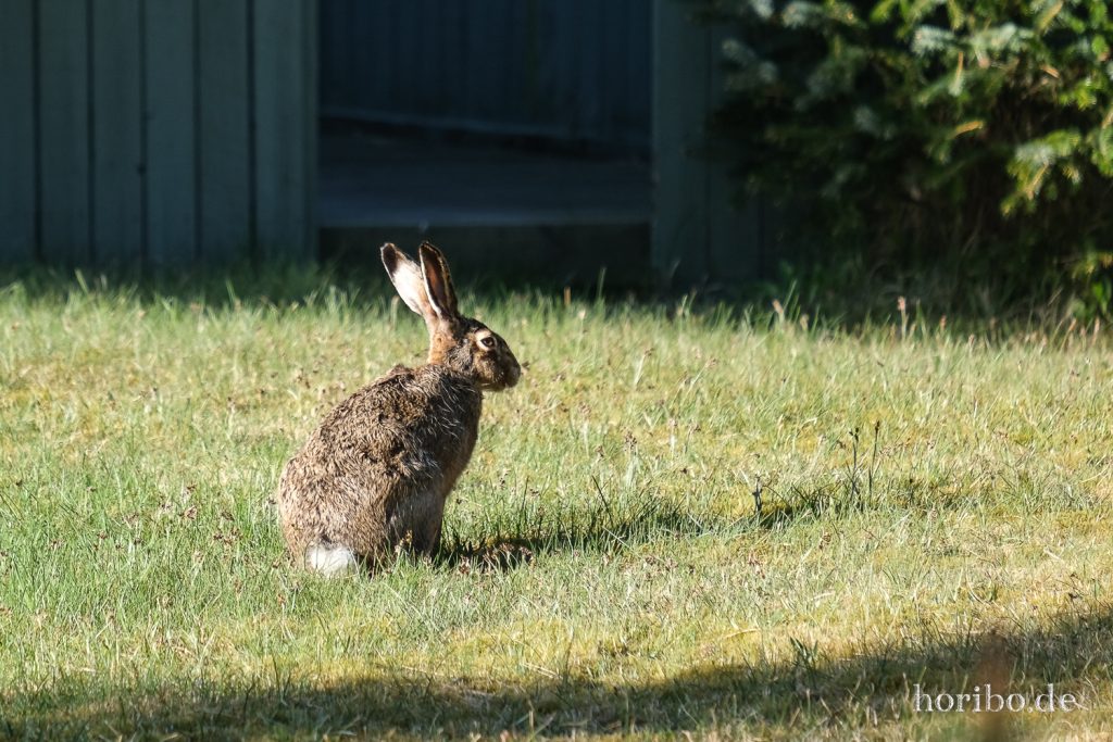 HR-22-04-29-18-37-23-4337