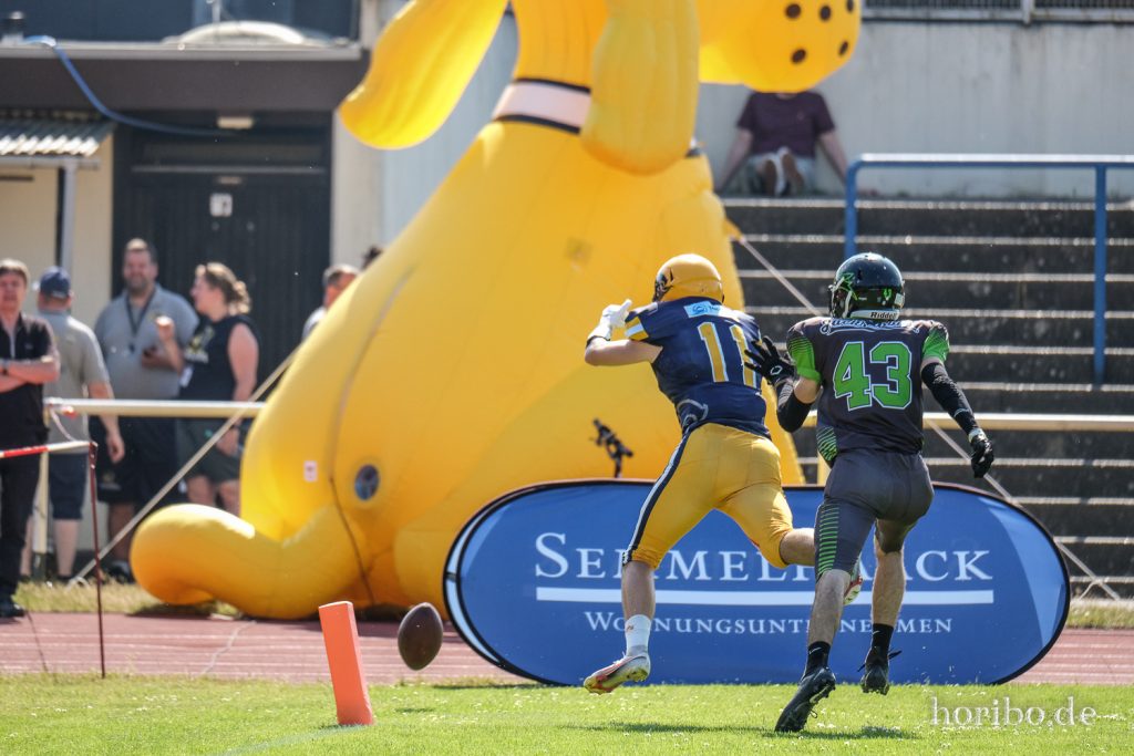 HR-22-06-25-16-46-56-7154