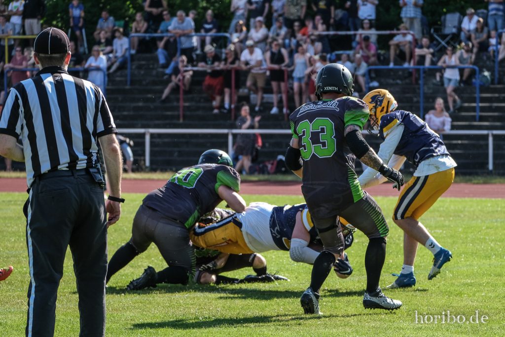 HR-22-06-25-17-25-32-7381