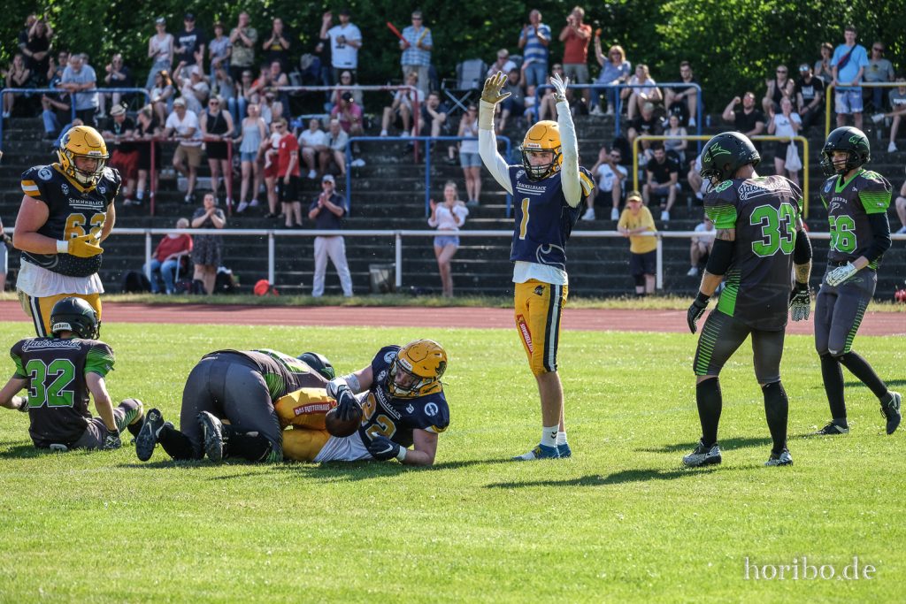 HR-22-06-25-17-25-34-7385