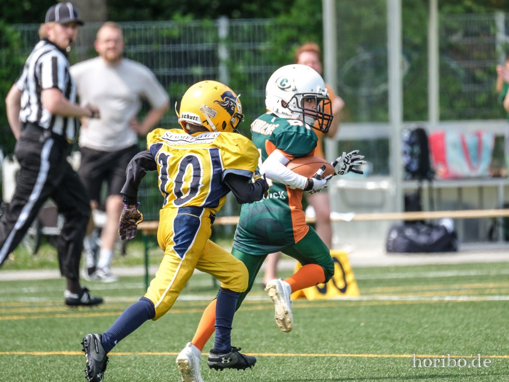 HR-22-06-26-12-28-13-7690