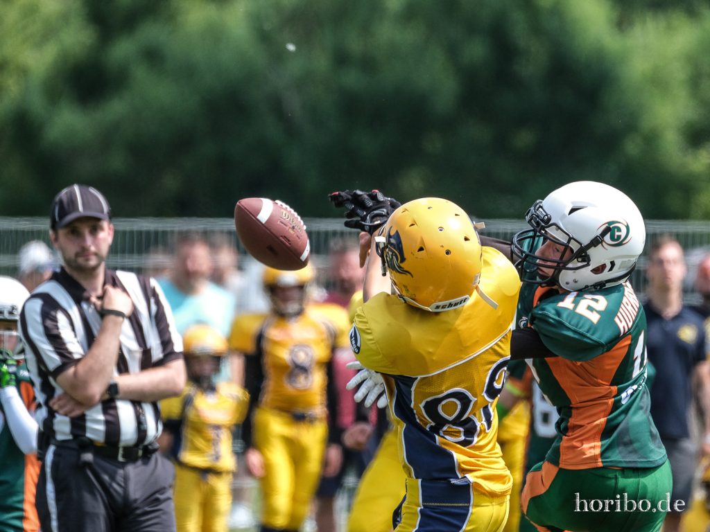 HR-22-06-26-12-52-25-7852